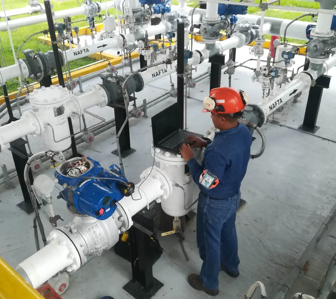 Proyecto Biomax